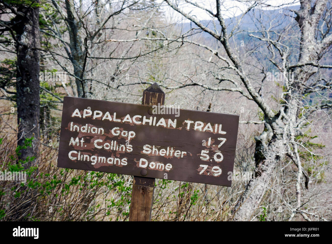 Tennessee Great Smoky Mountains National Park,Newfound Gap,Appalachian Trail,hiking,TN080501024 Stock Photo