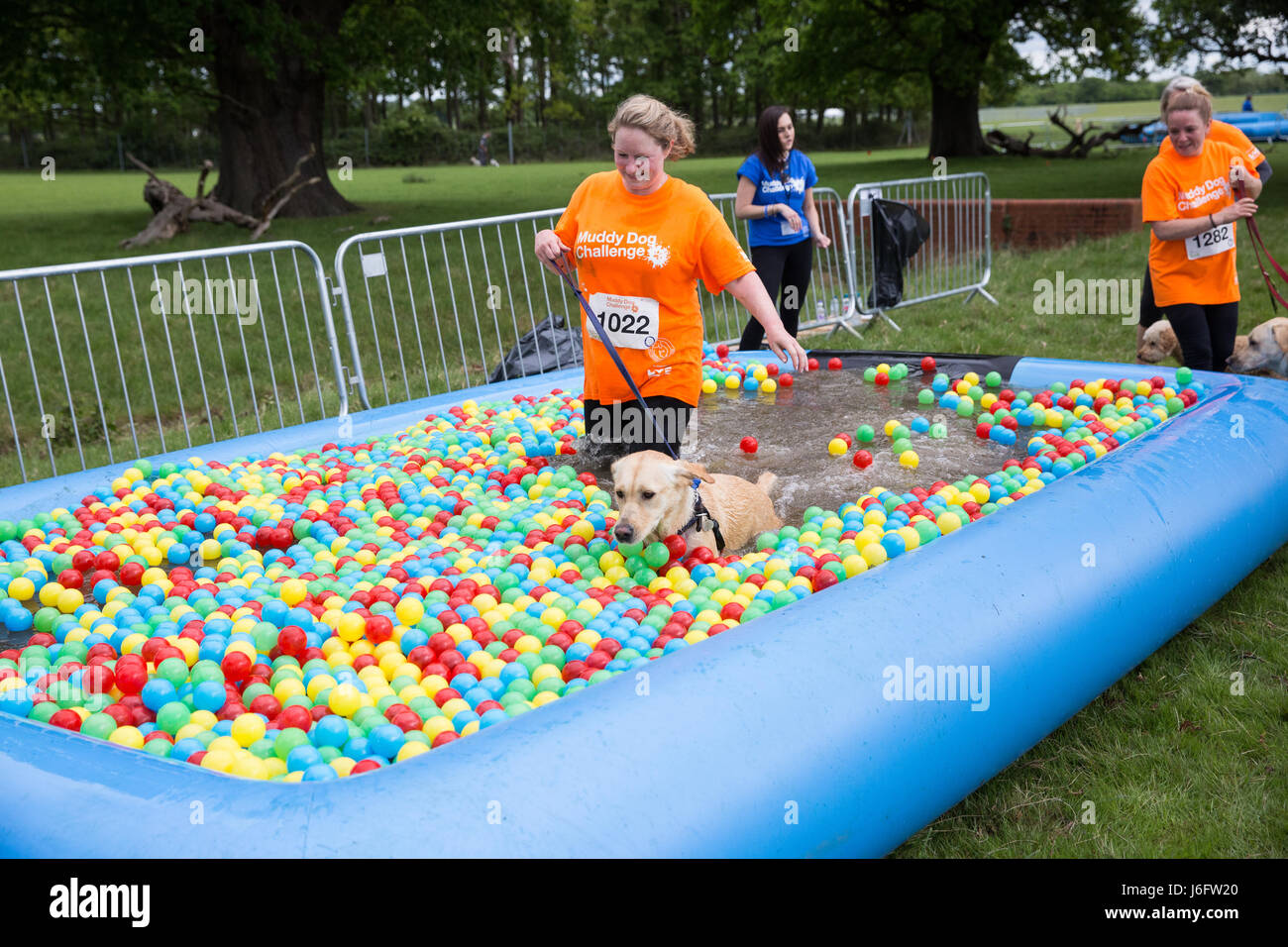 Windsor, UK. 20th May, 2017. Dogs and owners compete in the Muddy Dog