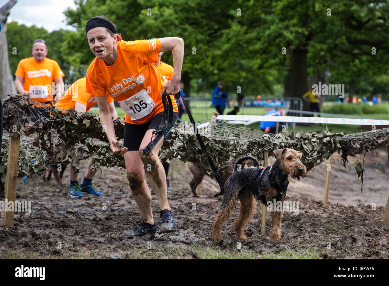 Windsor, UK. 20th May, 2017. Dogs and owners compete in the Muddy Dog