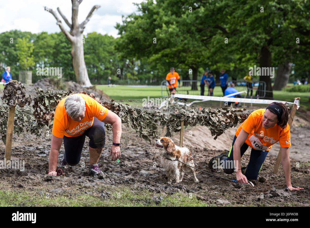Windsor, UK. 20th May, 2017. Dogs and owners compete in the Muddy Dog
