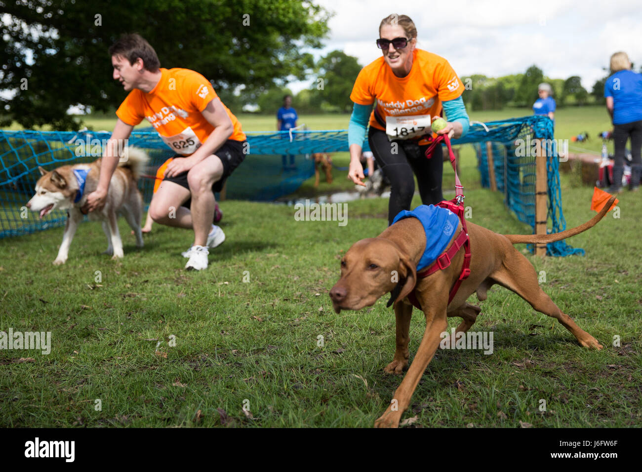 Windsor, UK. 20th May, 2017. Dogs and owners compete in the Muddy Dog