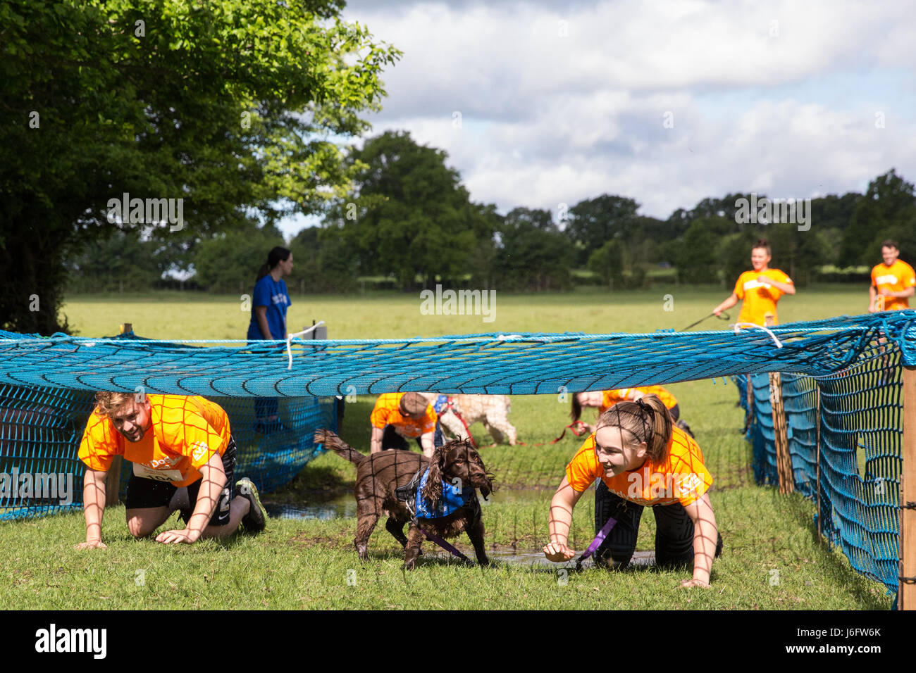 Windsor, UK. 20th May, 2017. Dogs and owners compete in the Muddy Dog