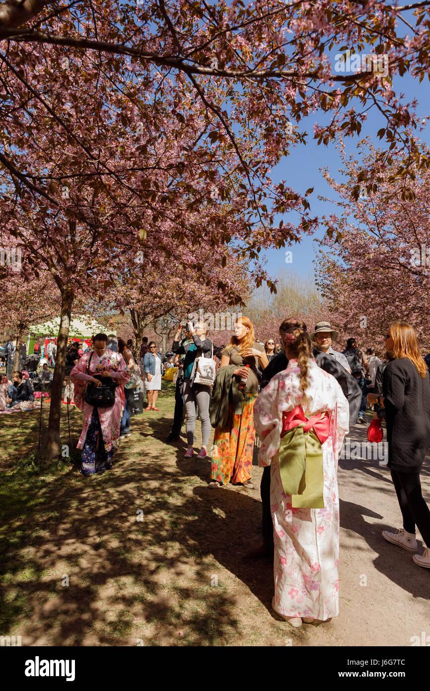 Helsinki, Finland. 21st May, 2017. After the coolest spring in 50 years ...