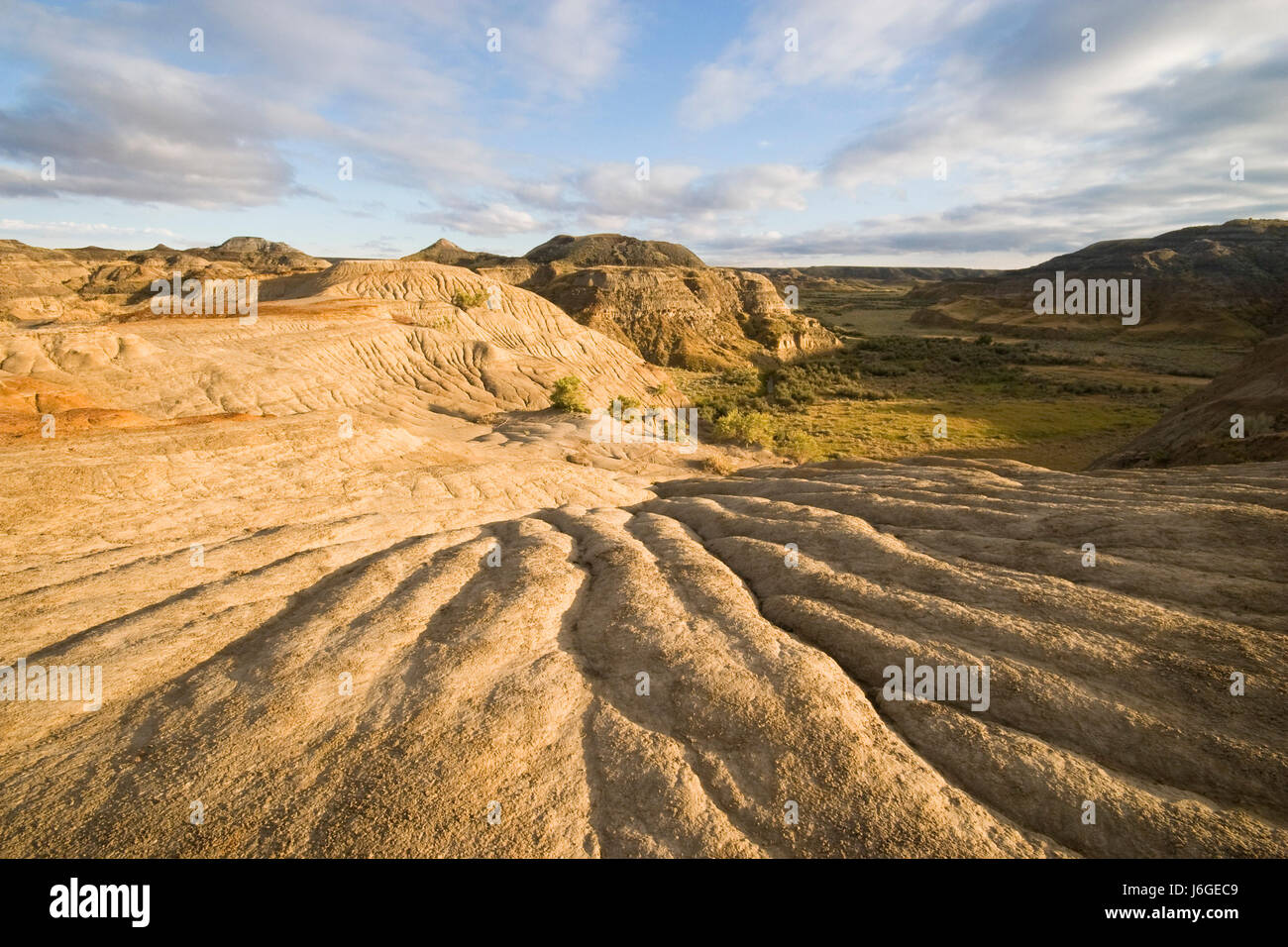 Fan shaped hires stock photography and images Alamy