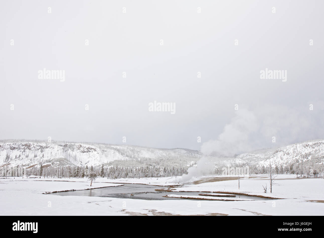 Yellowstone NP in winter Stock Photo