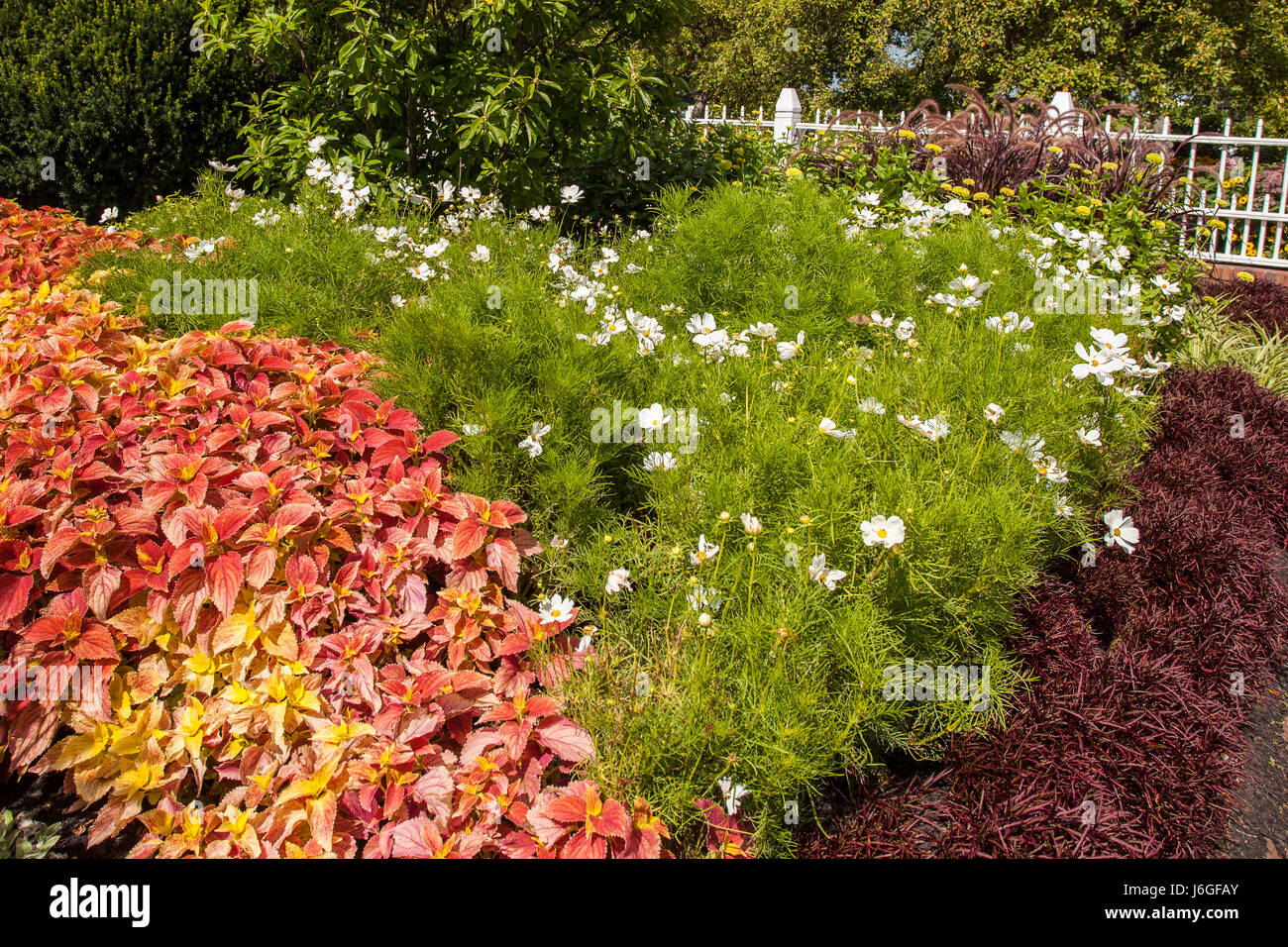 Beautiful gardens can be found in Prescott Park in Portsmouth, NH Stock