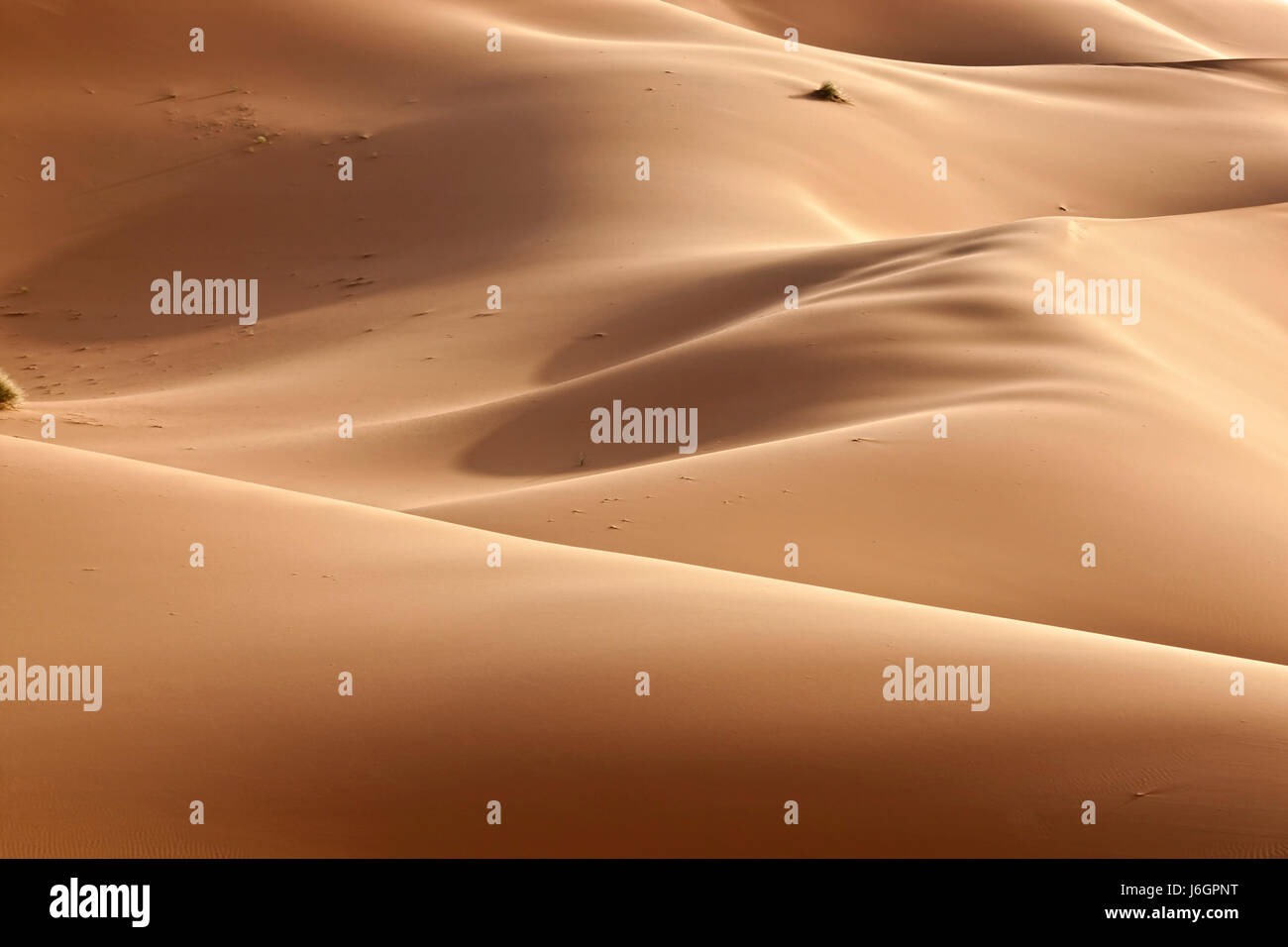 desert wasteland shape dune abstract design shaping formation model figure Stock Photo