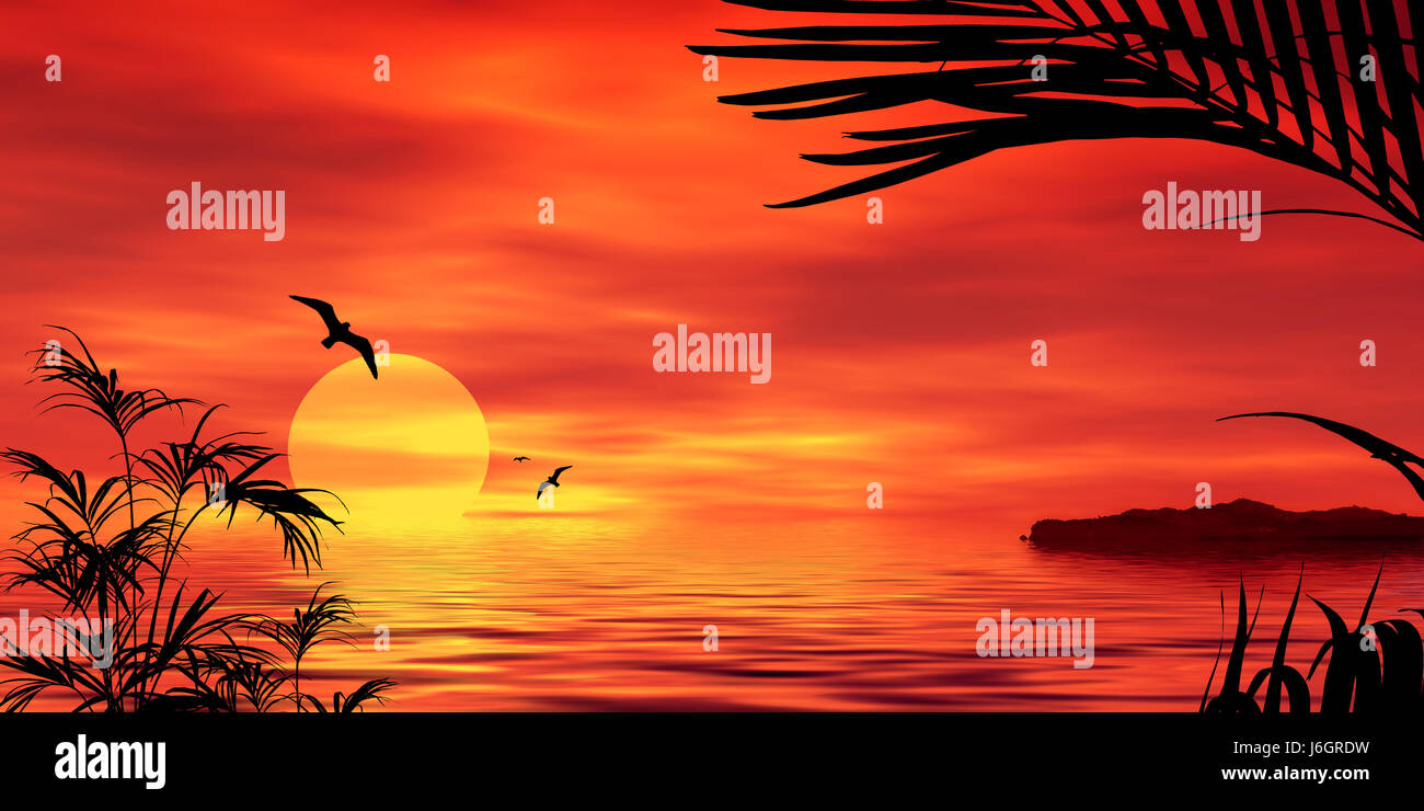I Rested Sunset sunset radio silence quietness silence illustration tropical rest salt ...
