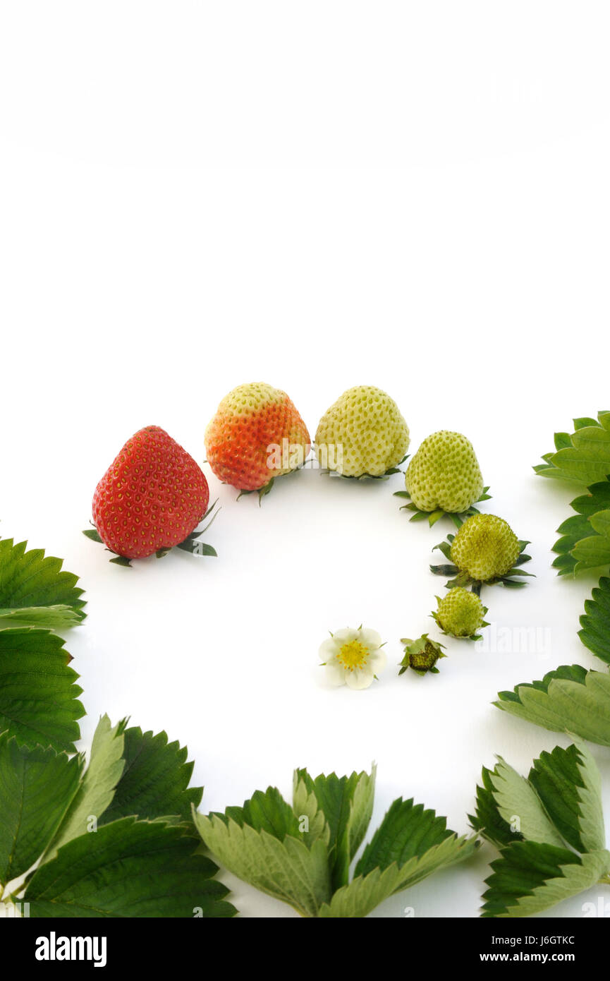 Ripening fruit sequence hi-res stock photography and images - Alamy