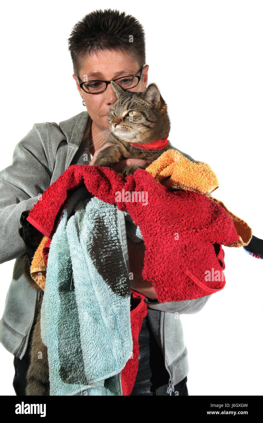 woman household laundry homework washday pussycat cat domestic cat woman Stock Photo
