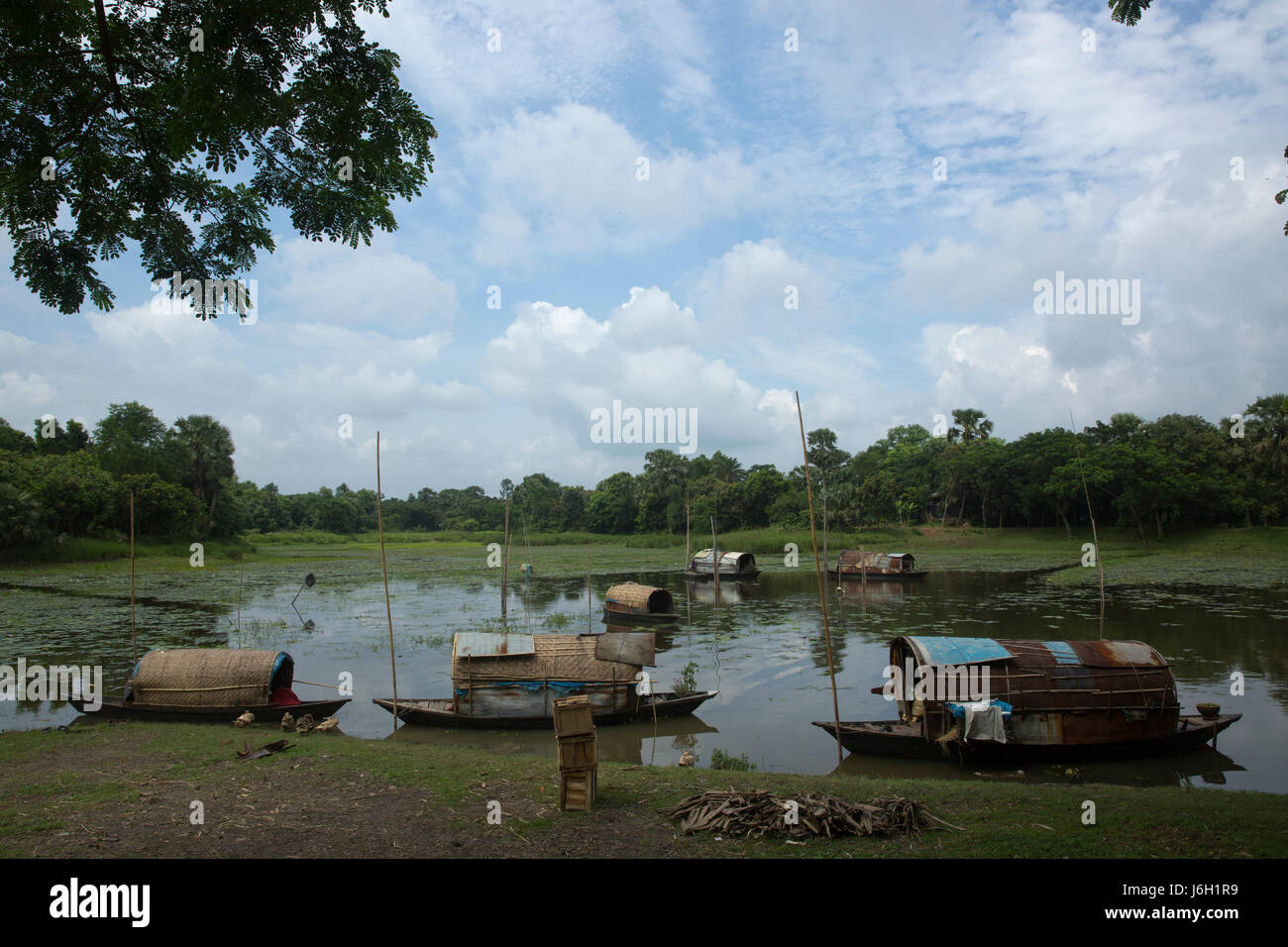 Gypsy people anchored their boats at a swamp at Pubail in Gazipur, Bangladesh. Stock Photo