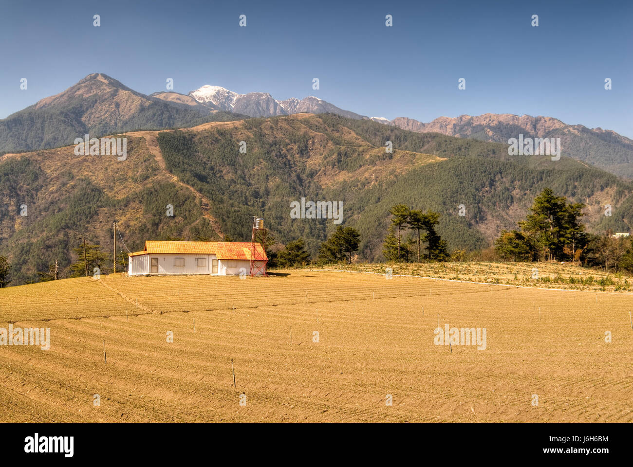 house building asia agriculture farming field farm abstract pattern ...