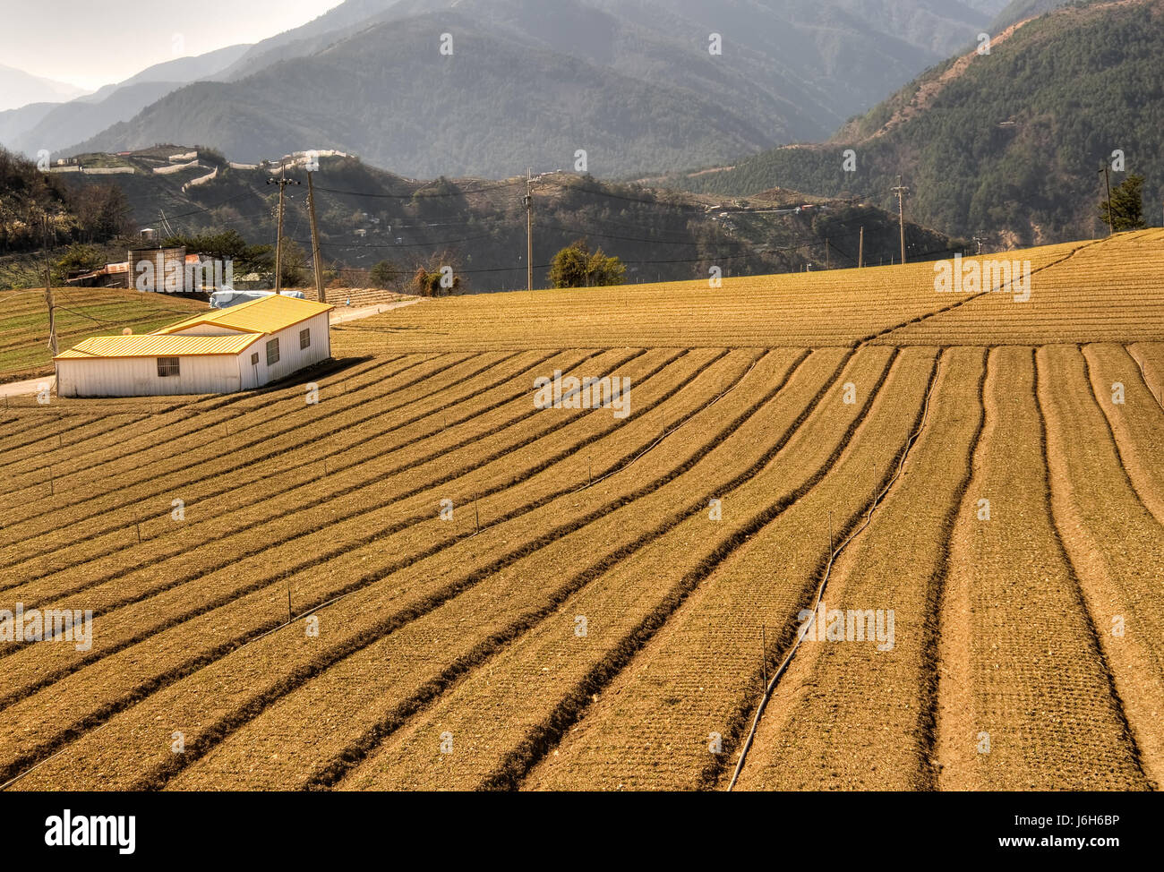 house building asia agriculture farming field farm abstract pattern ...