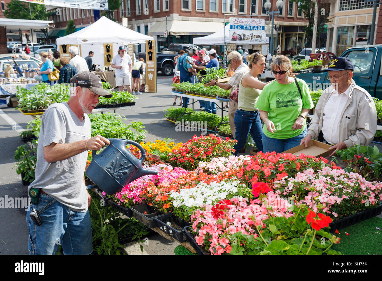 Roanoke Virginia,Market Square,Farmers' Market,plants for sale