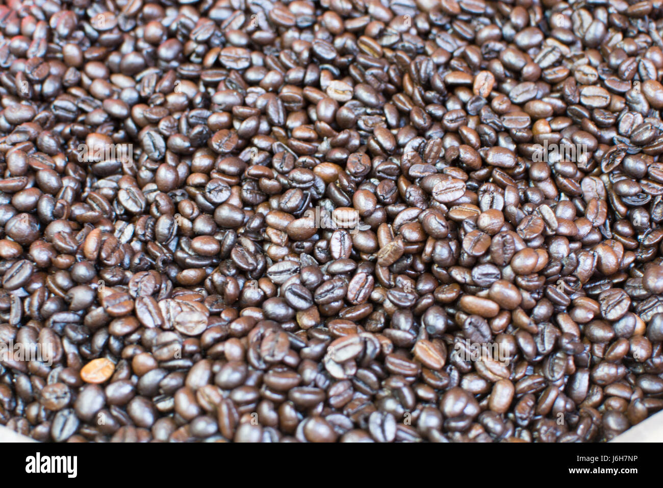 Arabica coffee beans.Dark roast roasted Stock Photo Alamy