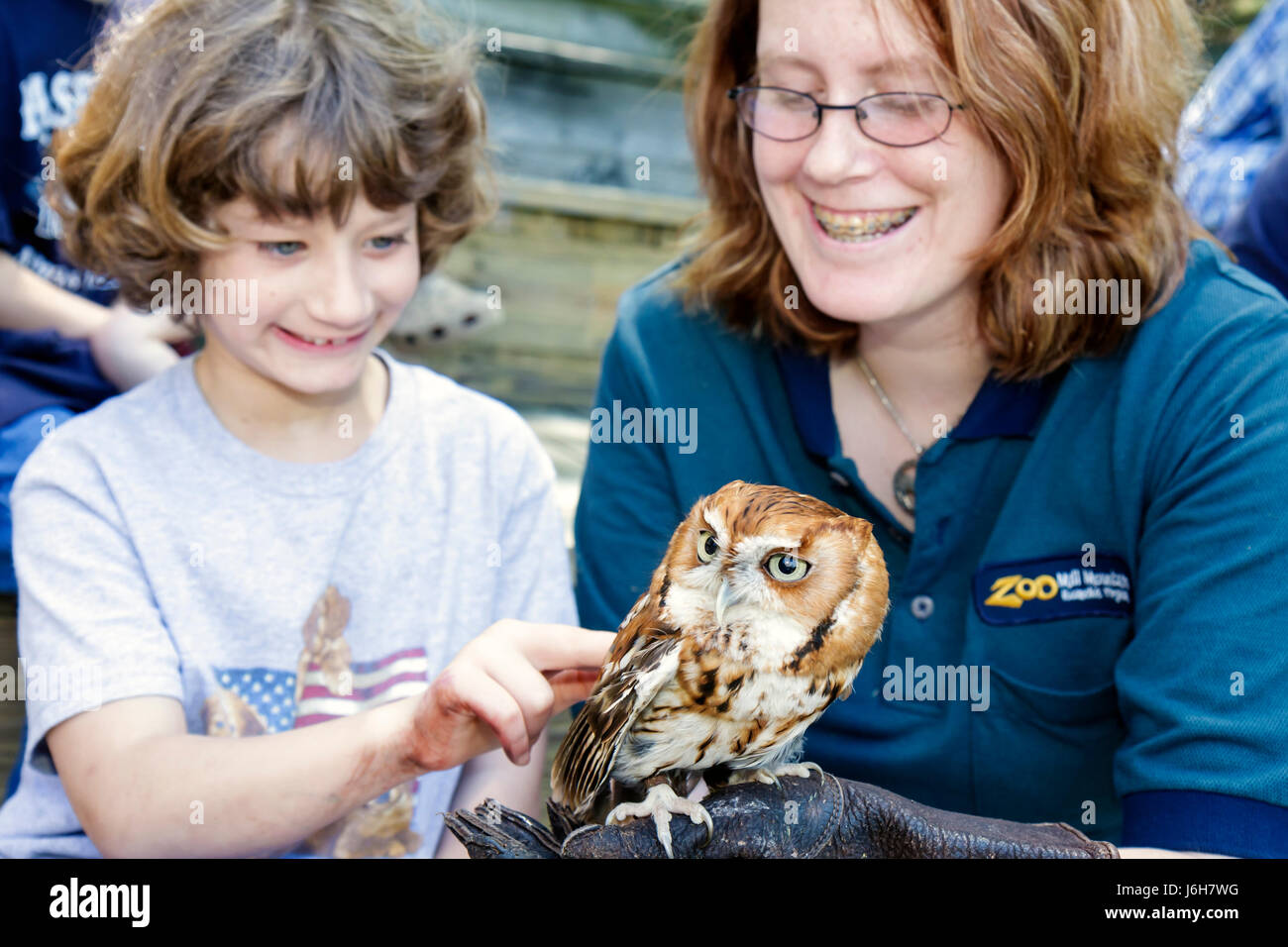 Roanoke Virginia,Mill Mountain Zoo,screech owl,bird birds,animal,trainer,girl girls,youngster youngsters youth youths female kid kids child children,s Stock Photo