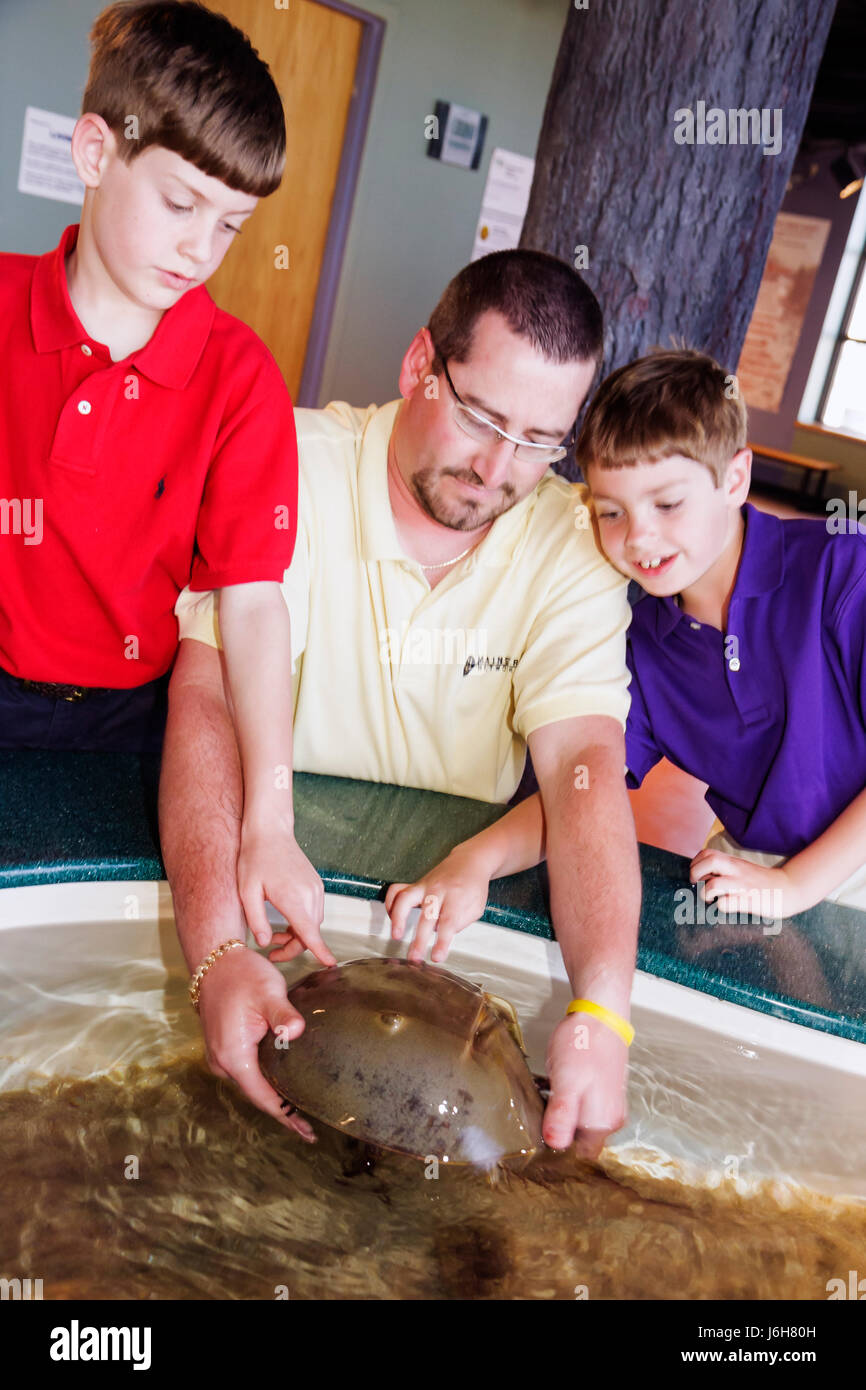 Virginia, VA, South, Roanoke County, Roanoke, Science Museum of Stock