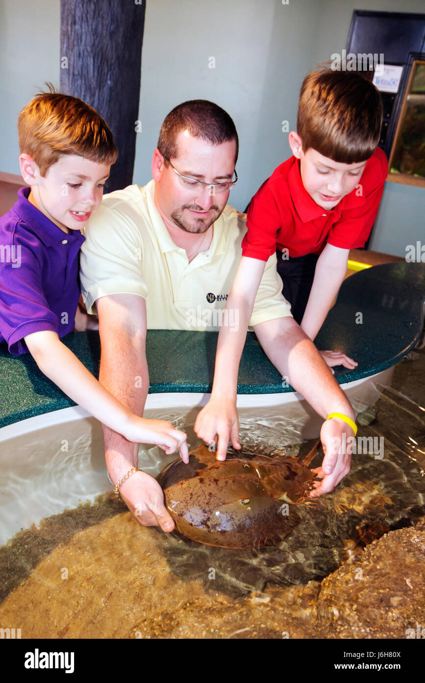 Virginia, VA, South, Roanoke County, Roanoke, Science Museum of Stock