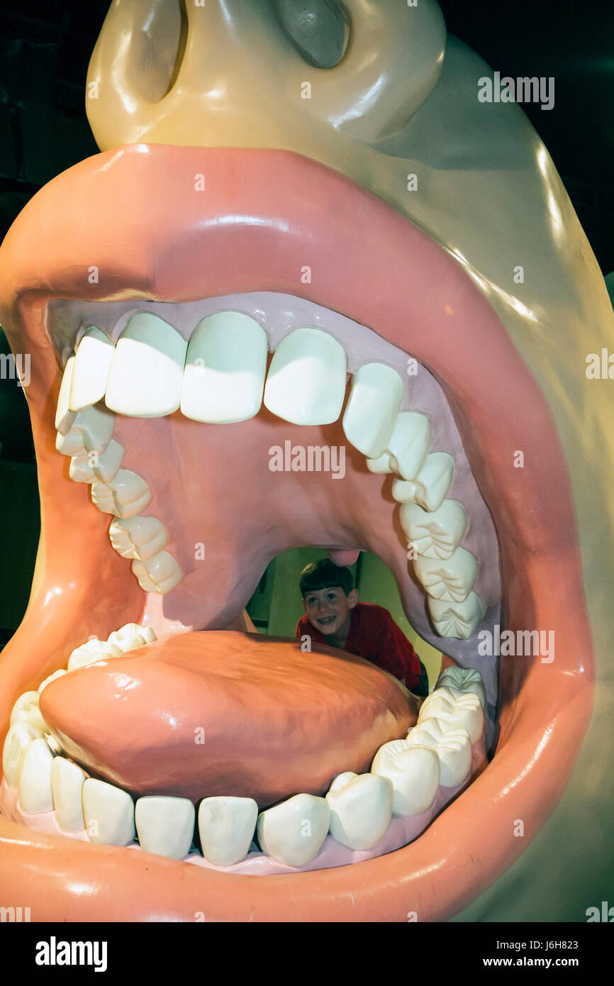 Roanoke Virginia,Science Museum of Western Virginia learning,exhibit exhibition collection giant human mouth,teeth,lips,tongue,boy boys,male kid kids Stock Photo