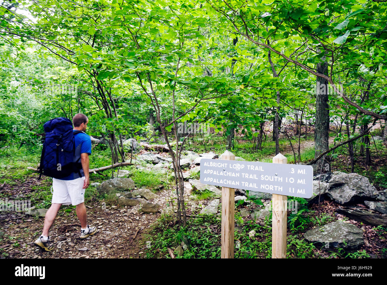 Blue Ridge Parkway Virginia,Appalachian Mountains,Humpback Rocks,Albright Loop Trail,hiking,walking,man men male,backpack,nature,physical activity,sig Stock Photo