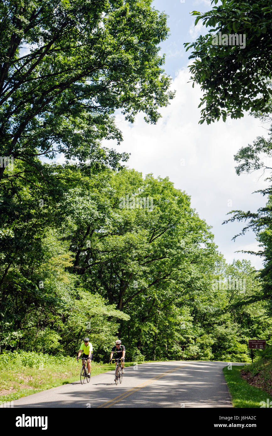 Blue Ridge Parkway Virginia,Appalachian Mountains,Roanoke Mountain