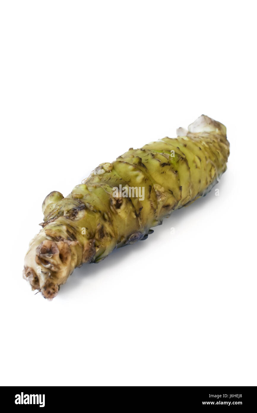green root japanese fresh plant spice isolated optional green root exotic Stock Photo