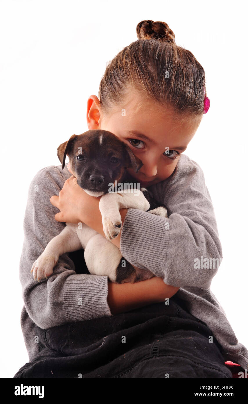 dog jack clicking terrier journal box child friendship animal pet look glancing Stock Photo