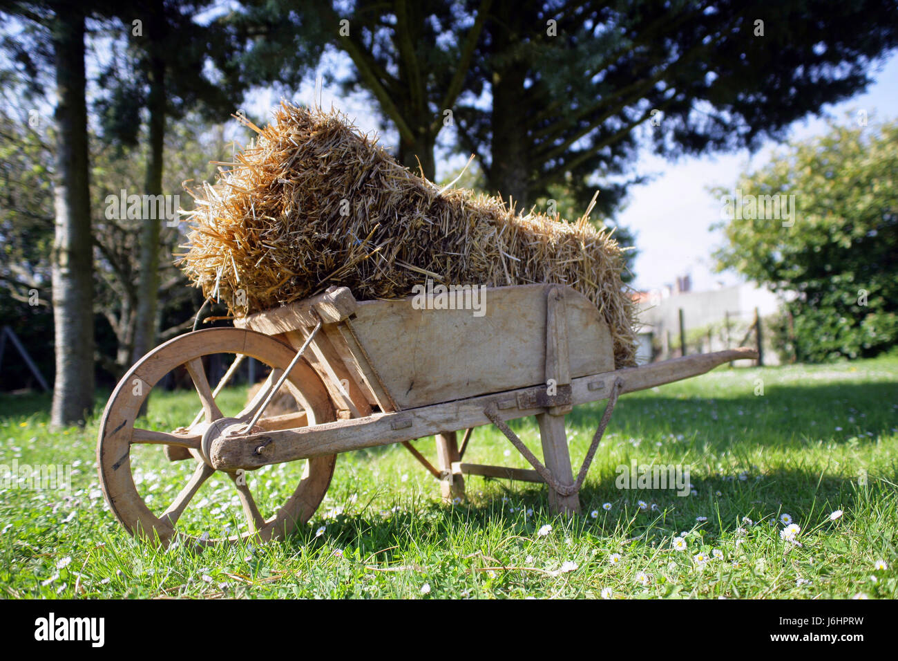 Hay wheelbarrow 2024