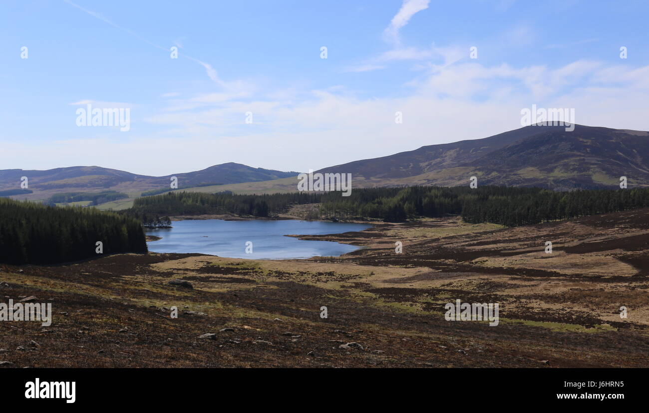 Auchintaple Loch and Mount Blair Scotland  May 2017 Stock Photo