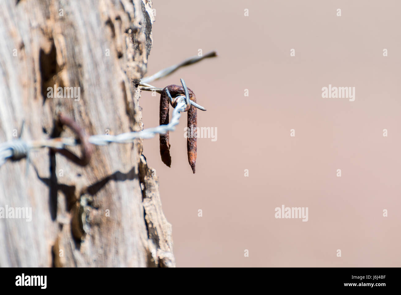Barbed Wire Fence Up Close Stock Photo - Alamy