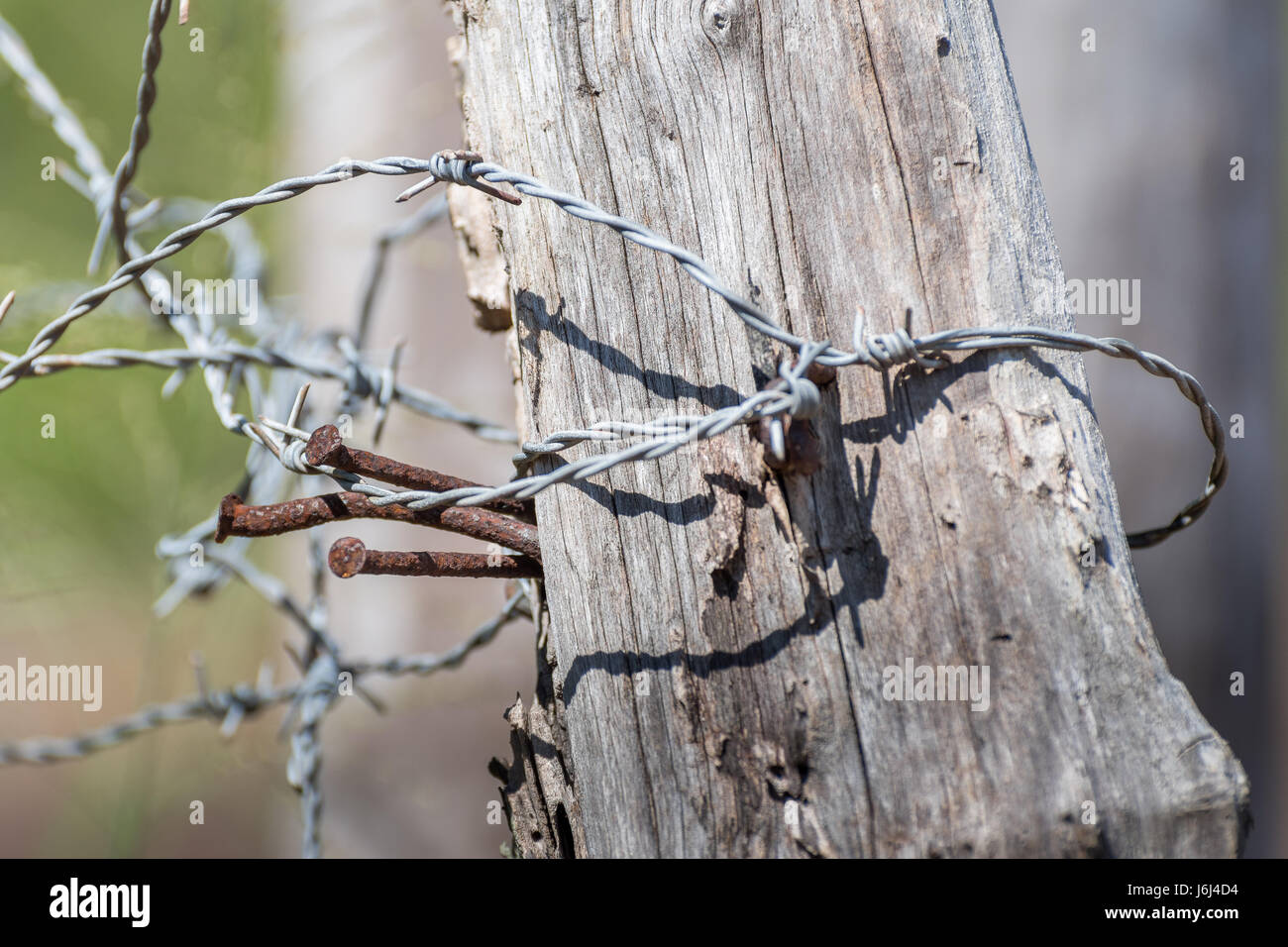 Barbed Wire Fence Post Up Close Stock Photo - Alamy