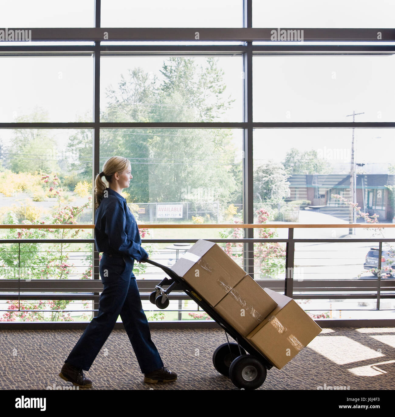 woman motion postponement moving movement office laugh laughs laughing twit Stock Photo