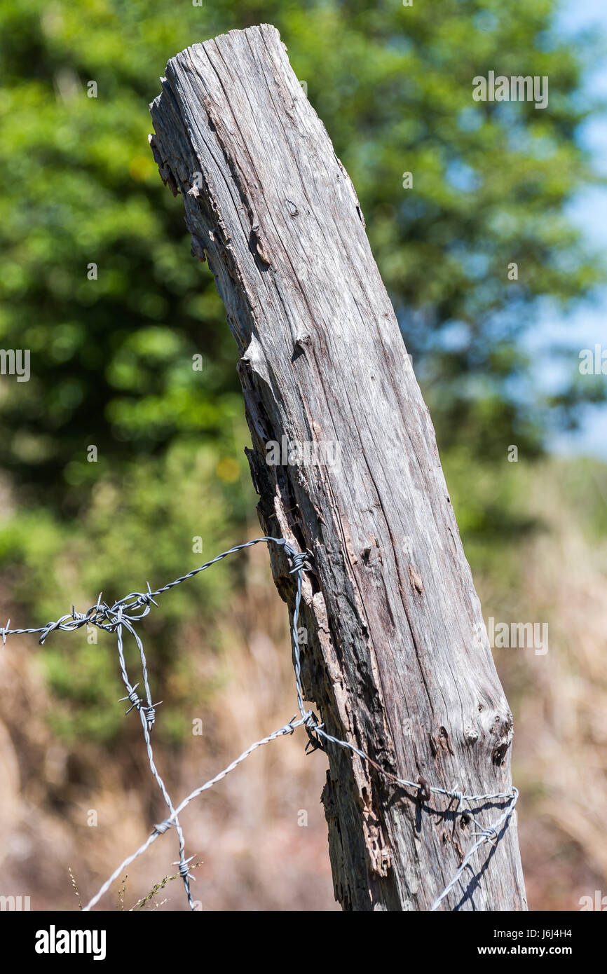 Wire 2024 fence nails
