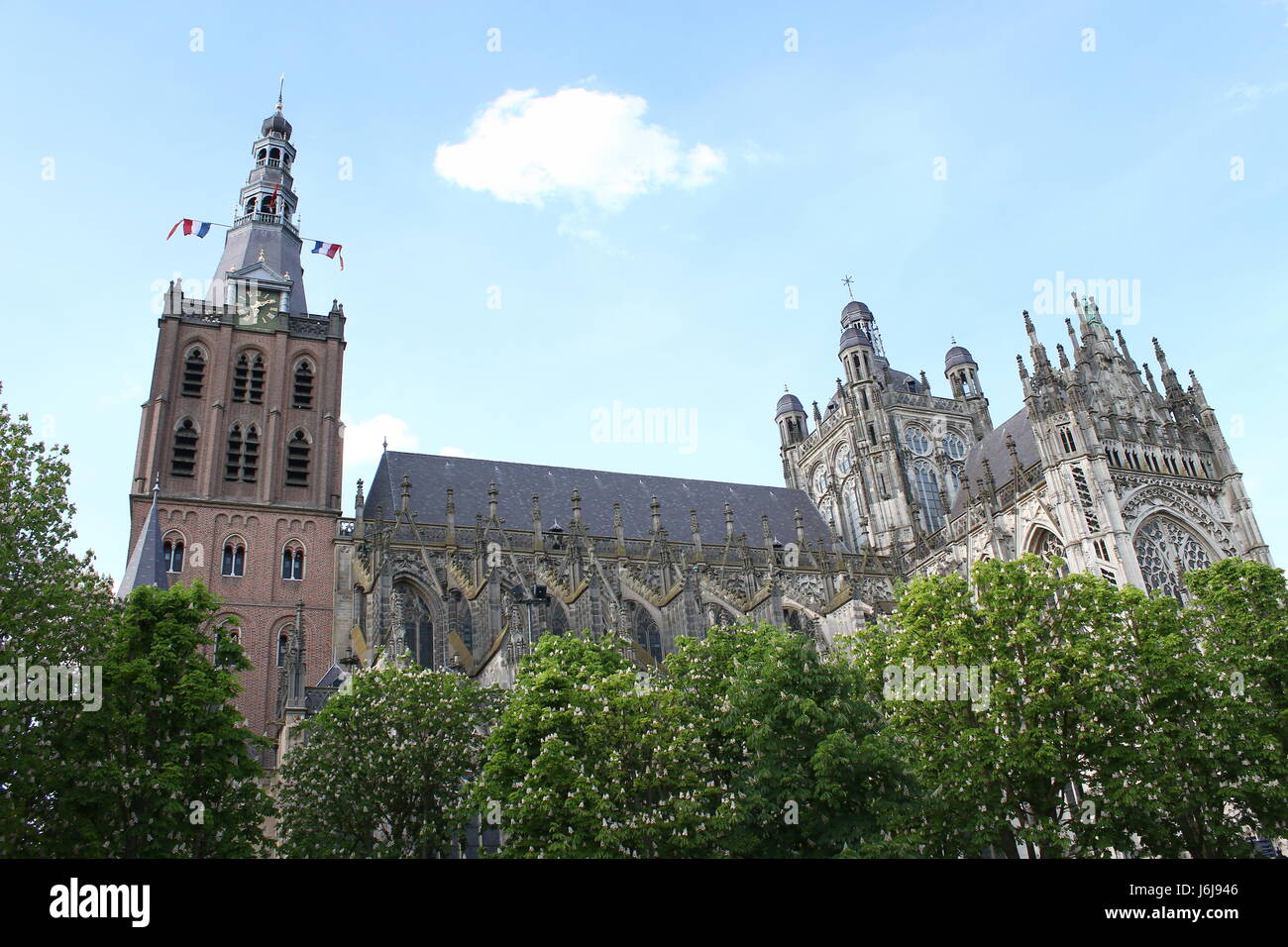 Medieval Sint-Janskathedraal (St. John's Cathedral). City of  Den Bosch, Brabant, Netherlands, seen from Parade square. Brabantine Gothic style Stock Photo