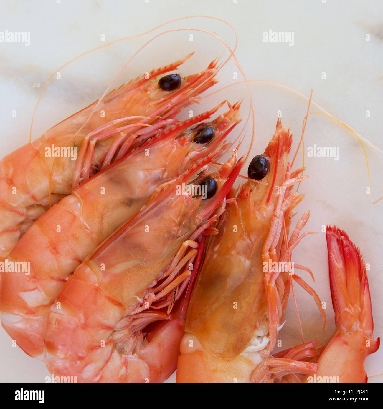 Australian cooked king prawns Stock Photo Alamy