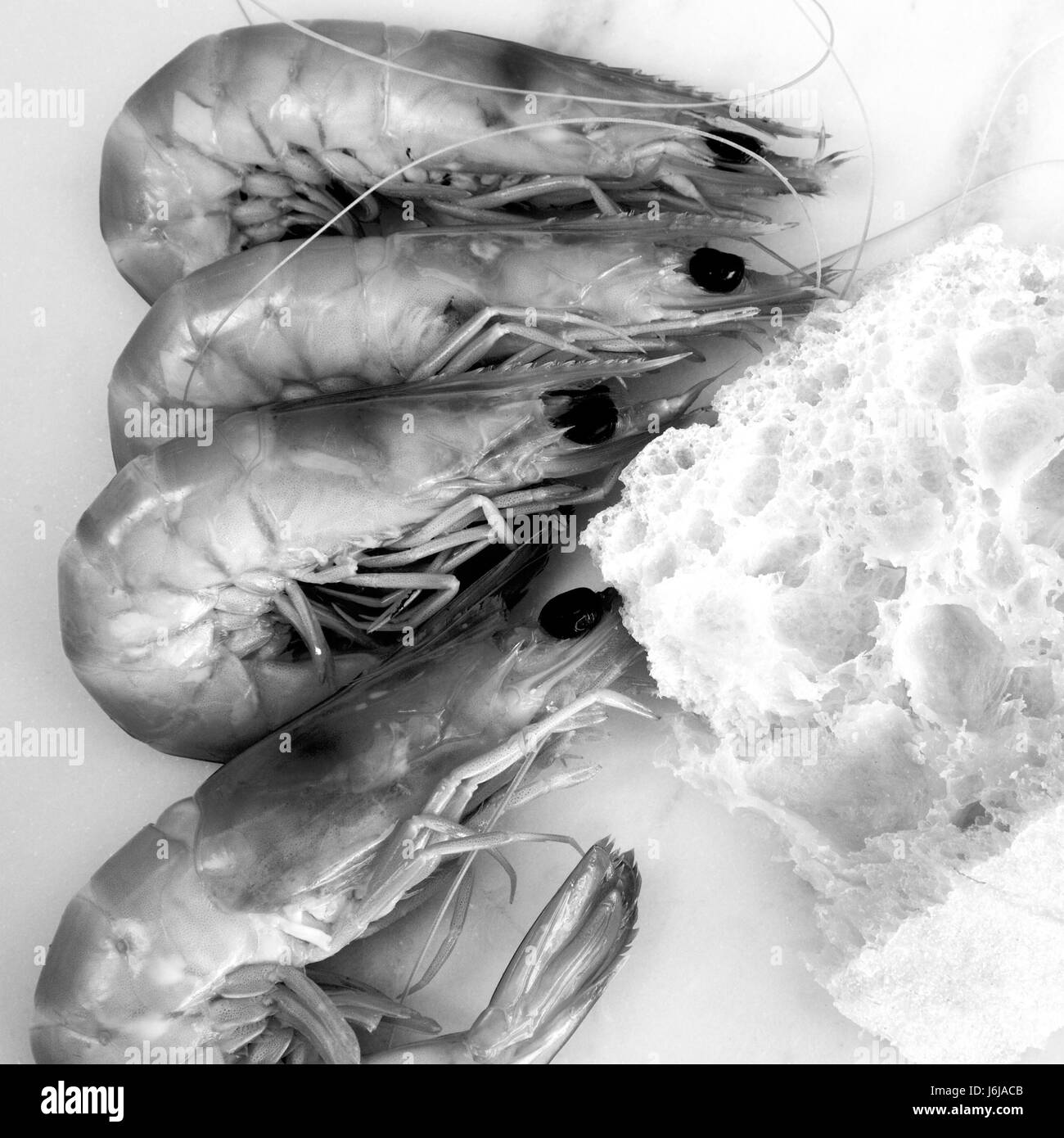 Australian king prawns and Turkish bread (black and white) Stock Photo