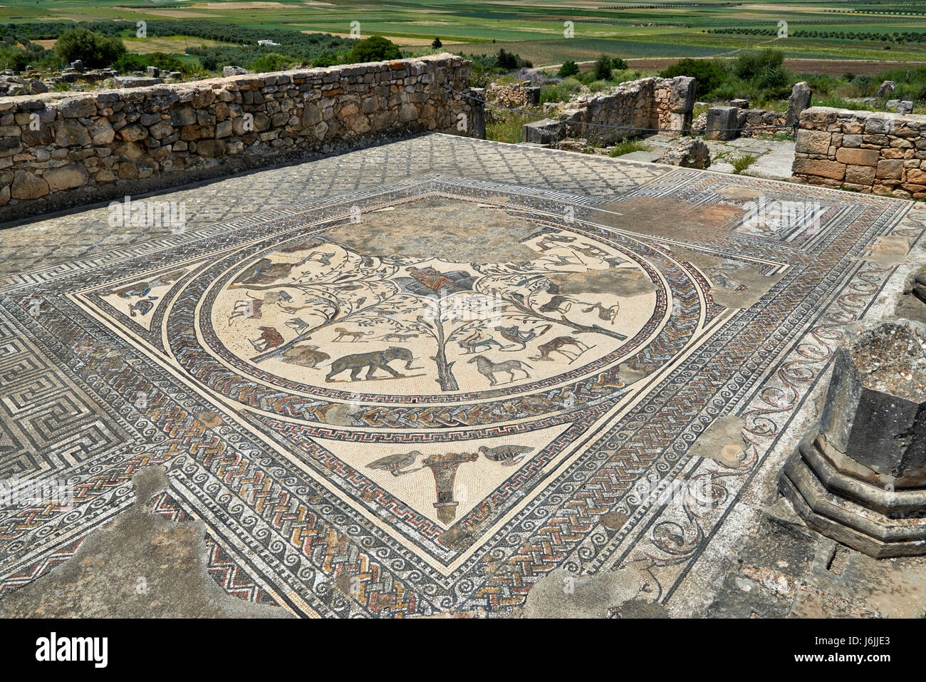 animal mosaic of the house of Orpheus in the Roman excavation of Volubilis, Morocco, Africa Stock Photo
