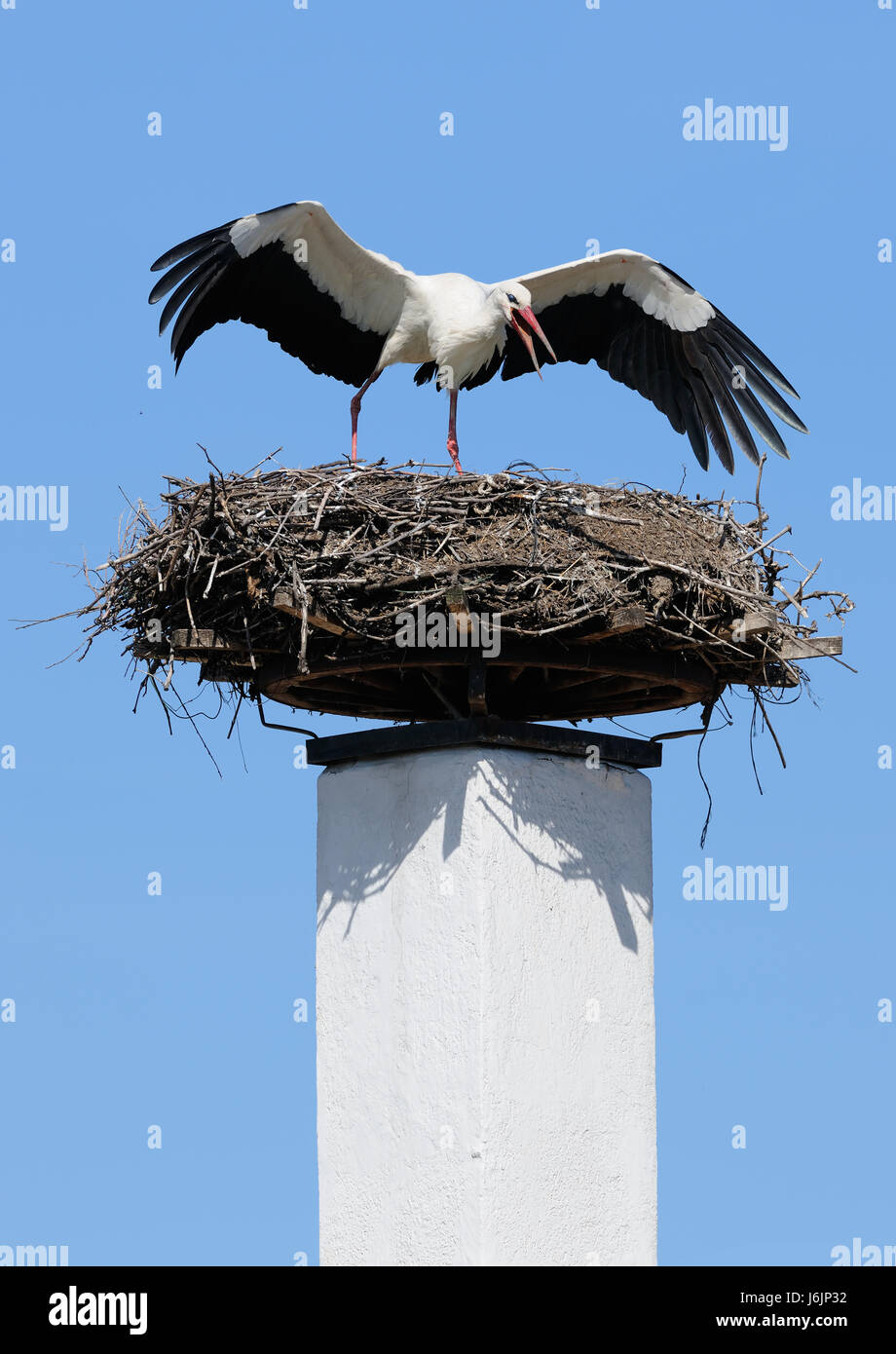 Stork Formed Inlet stork nest landing chimney drainpipe chimney-flue originator starting ...