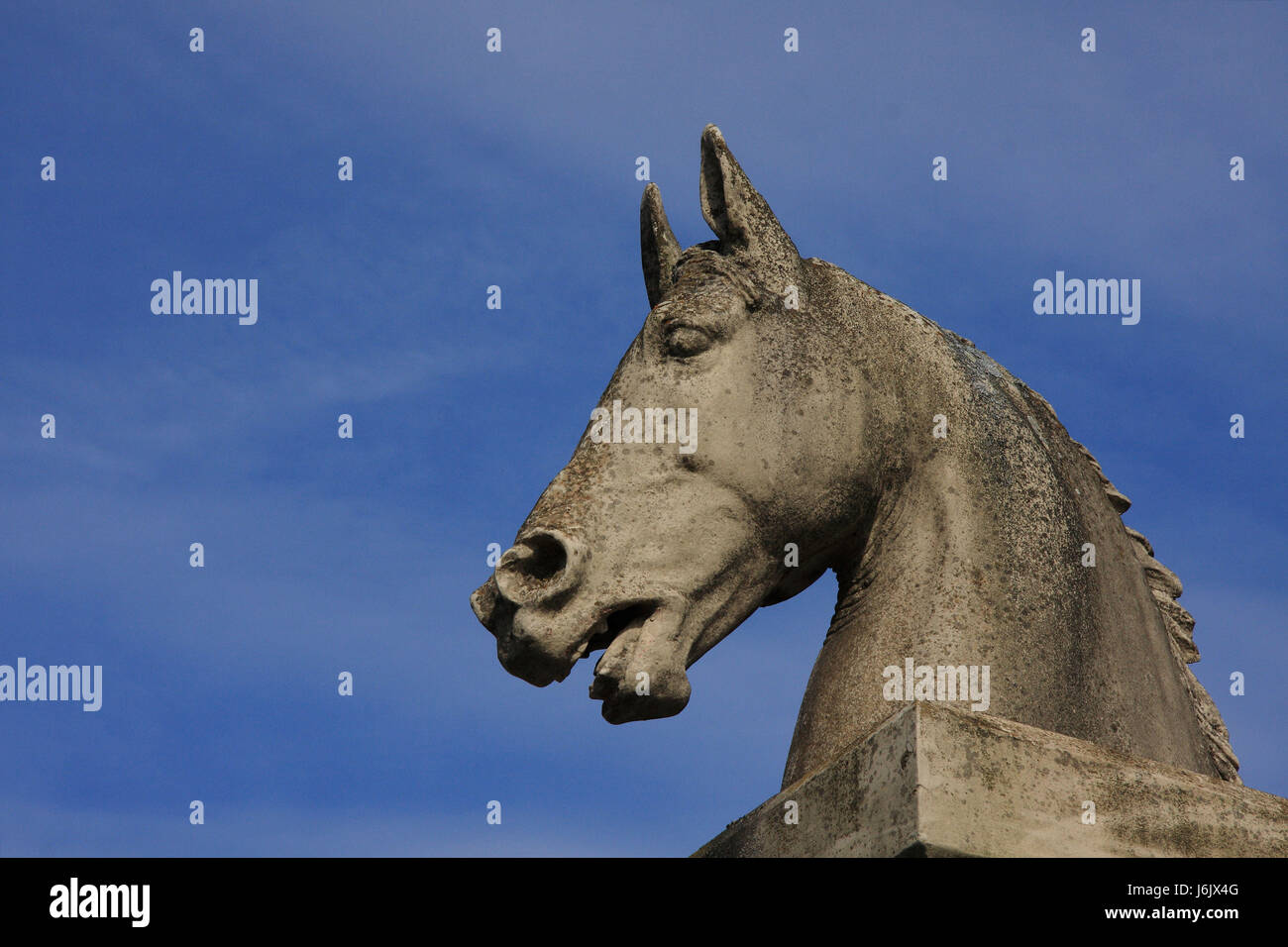 in horse sky Stock Photo