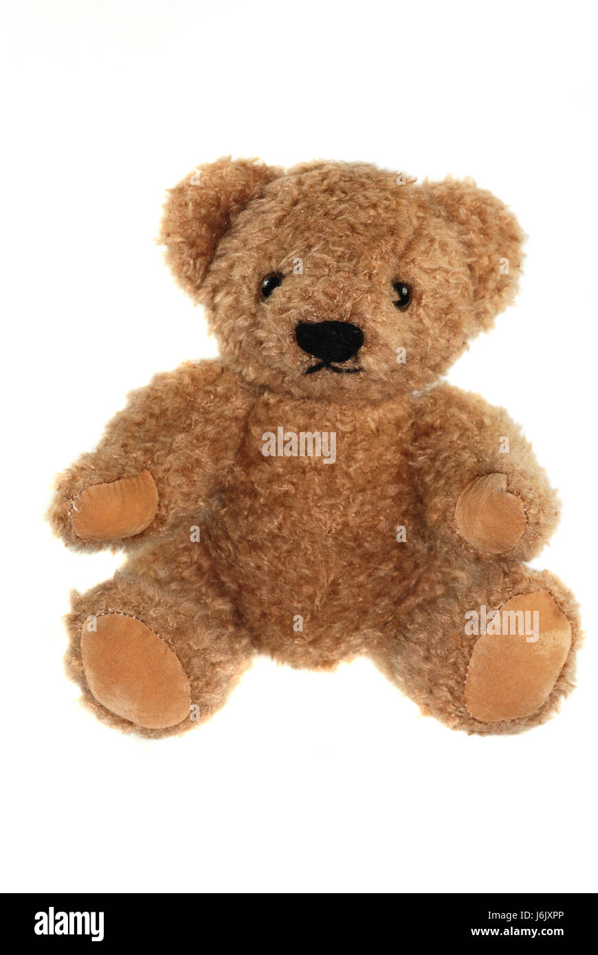 teddy bear Stock Photo