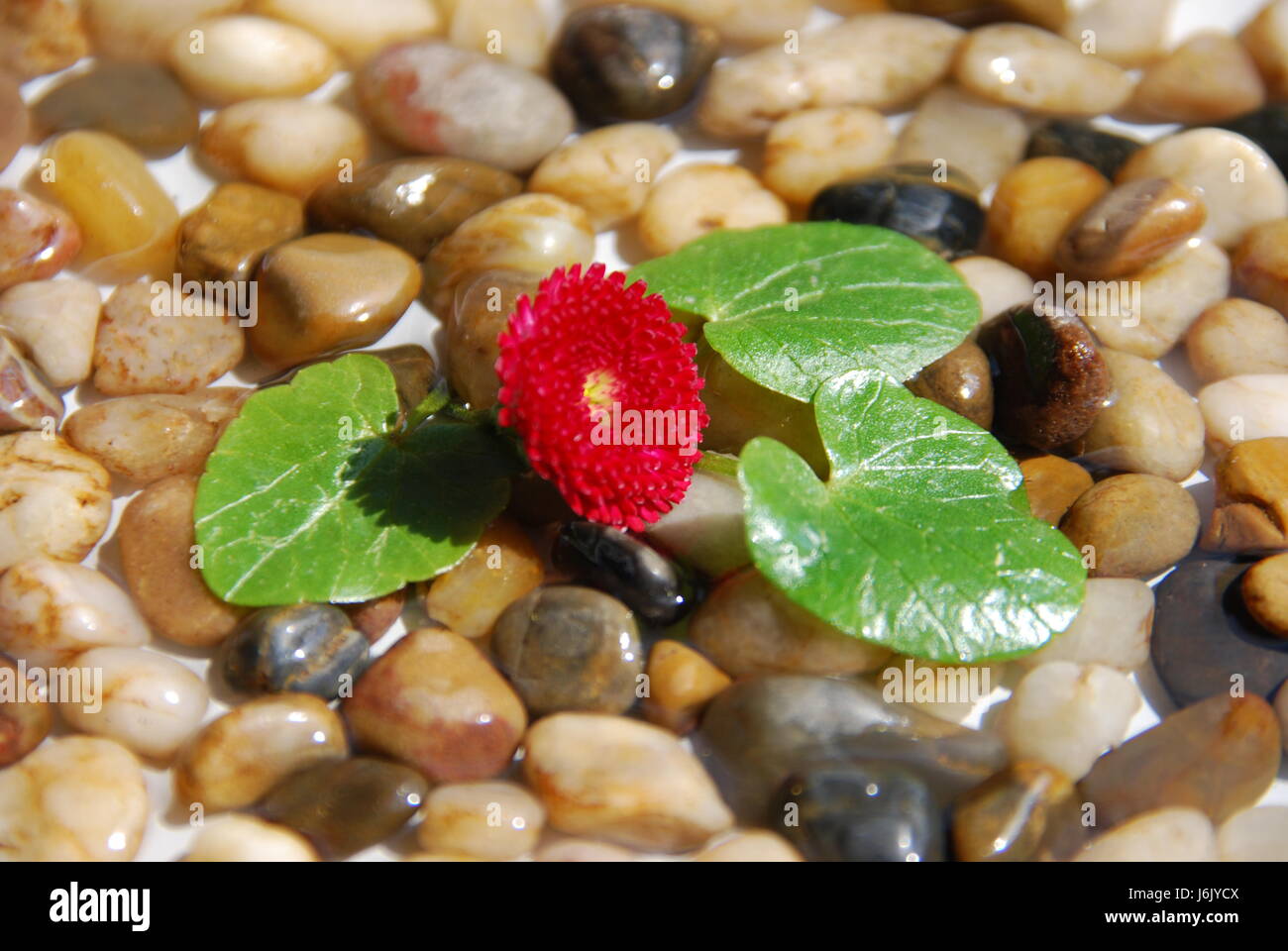 indoor fountain feng shui Stock Photo Alamy