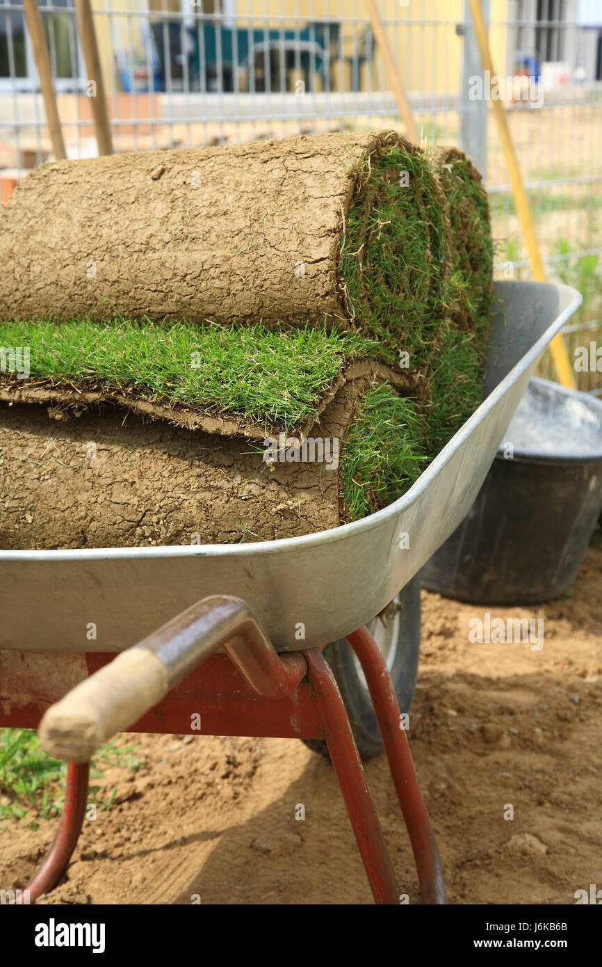 garden agriculture farming gardening sod landscaping rolls lawn green ...