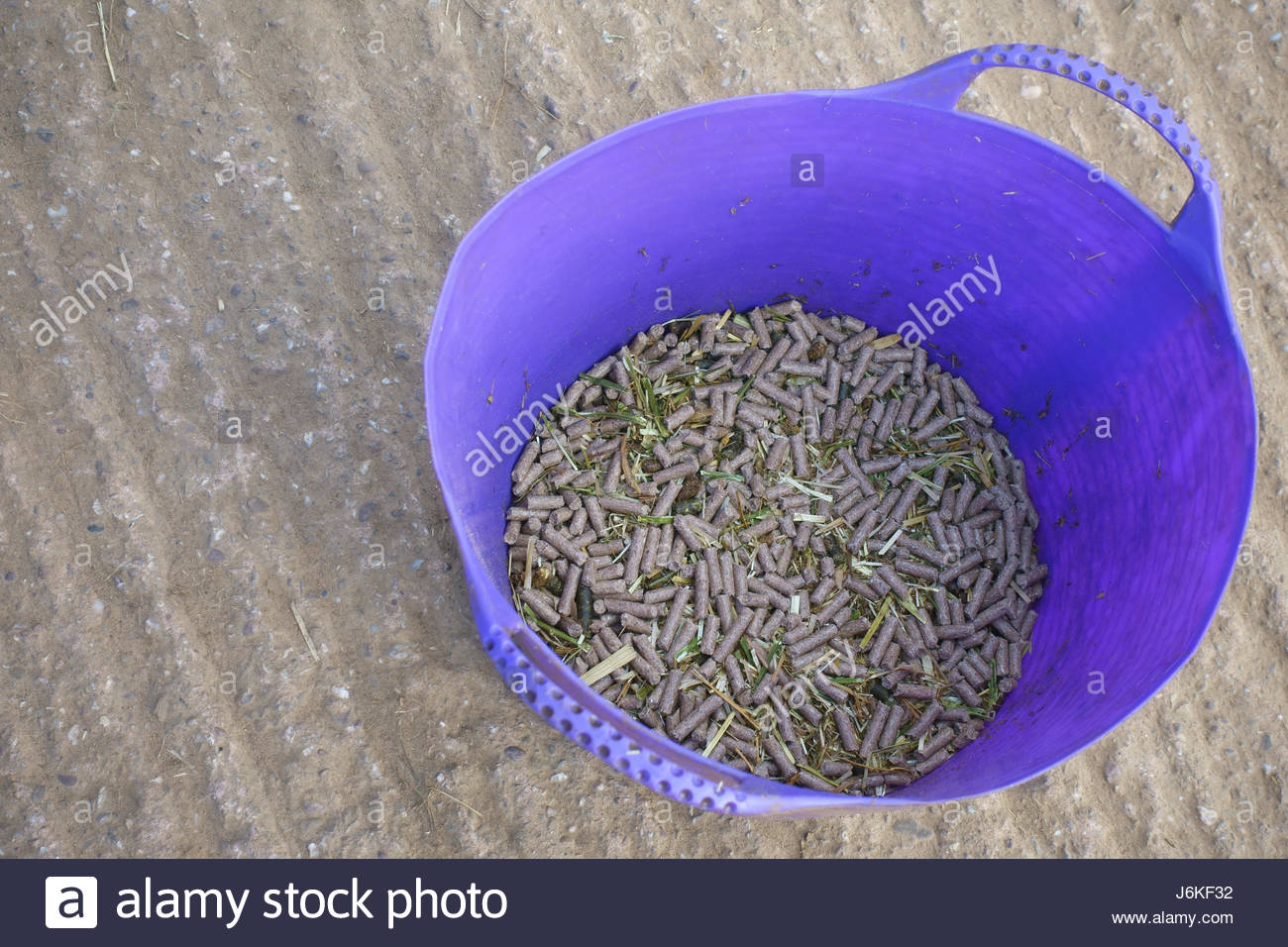 Horse Feed Bucket High Resolution Stock Photography and Images Alamy