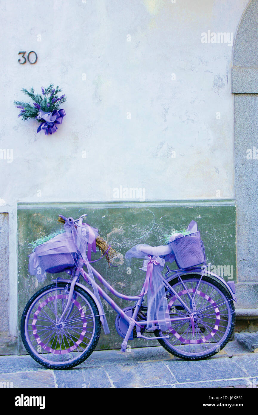 bicicletta lavanda- bike purple Stock Photo