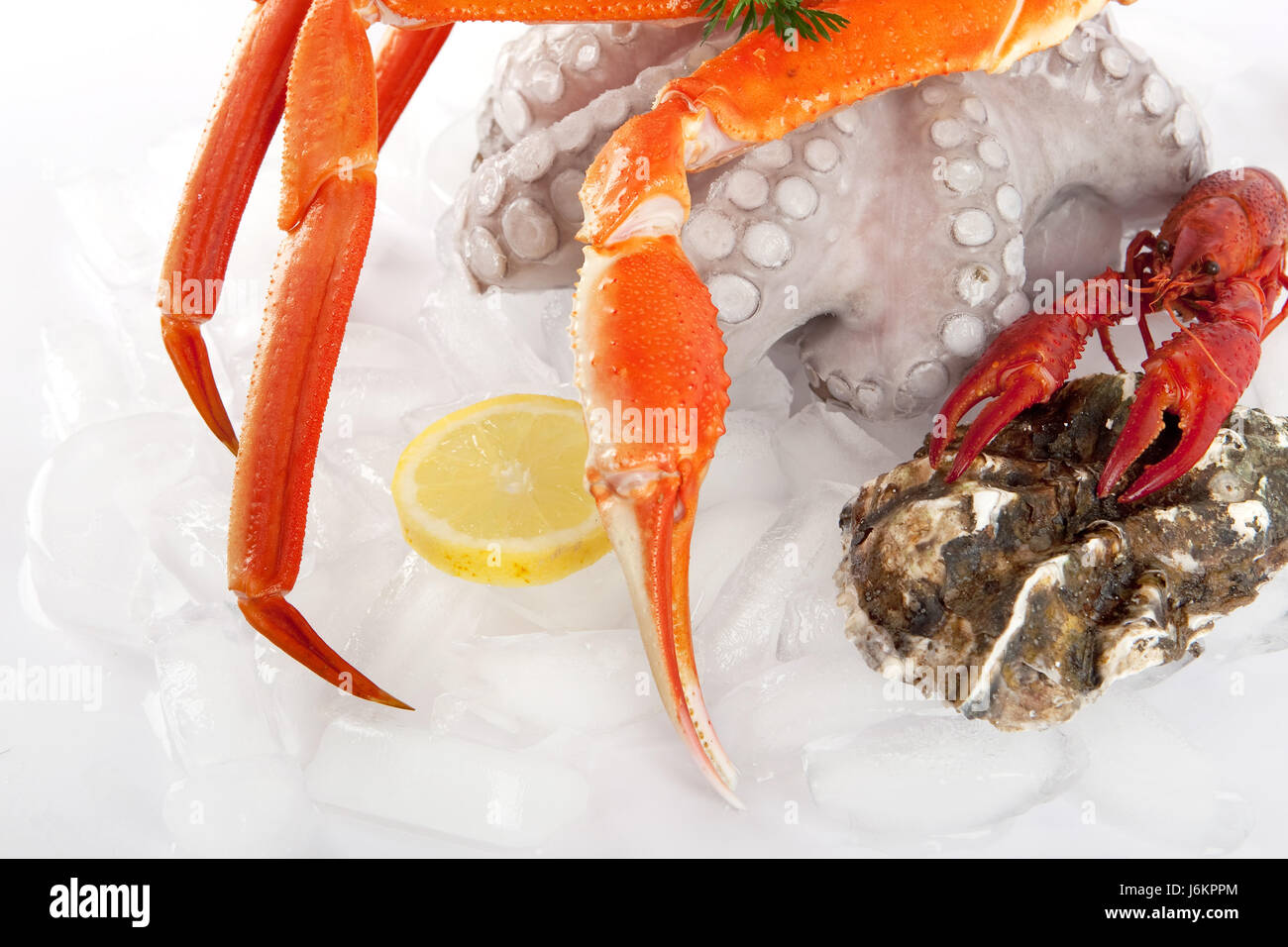ice crab seafood squid food aliment ice gourmet cancer dish meal crab seafood Stock Photo Alamy