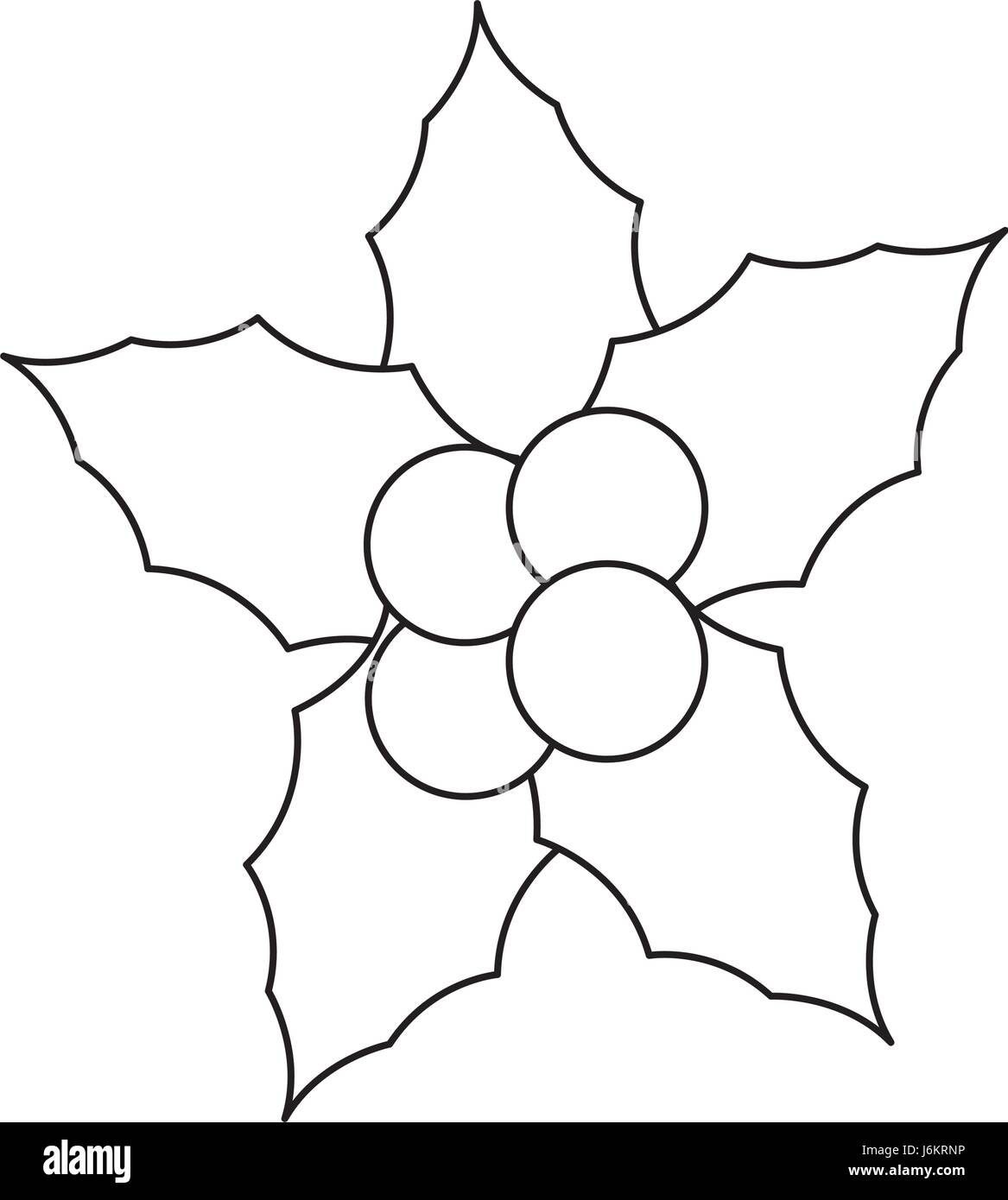 christmas decoration leaves and berries outline Stock Vector Image