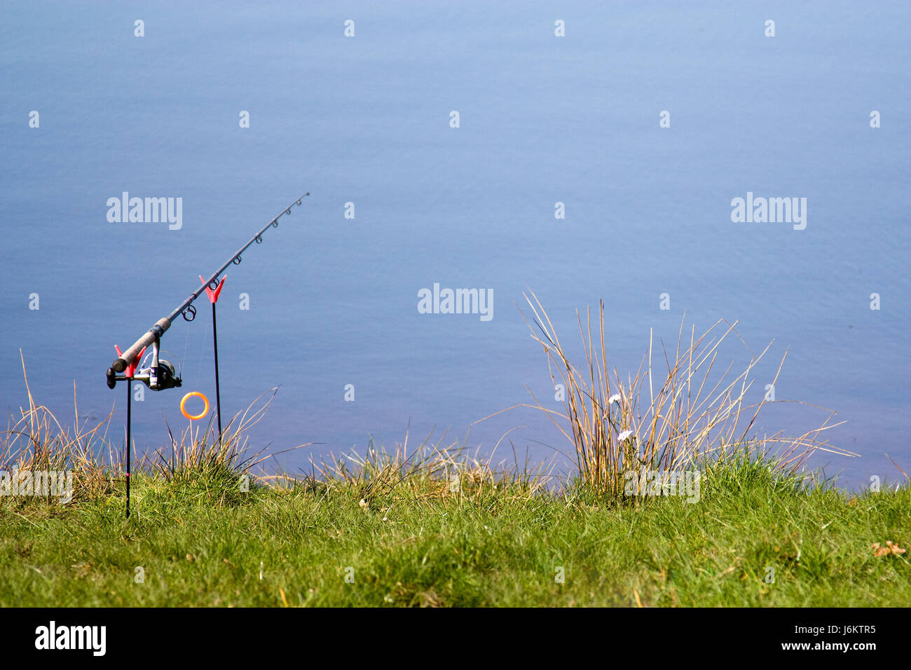 angle fish fishing rod meadow salt water sea ocean water bank nature