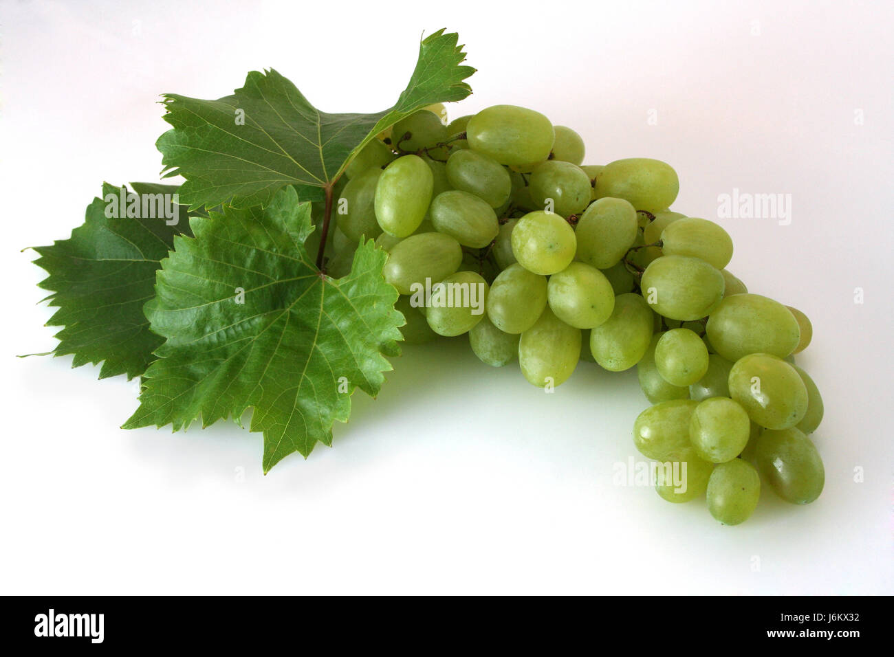 green wine fruit vine grape vine grape-vine grape vine leaf glass chalice Stock Photo