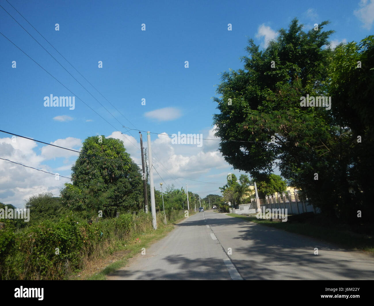 09149 Paddy fields Salapungan Roads Magumbali Candaba Pampanga  23 Stock Photo