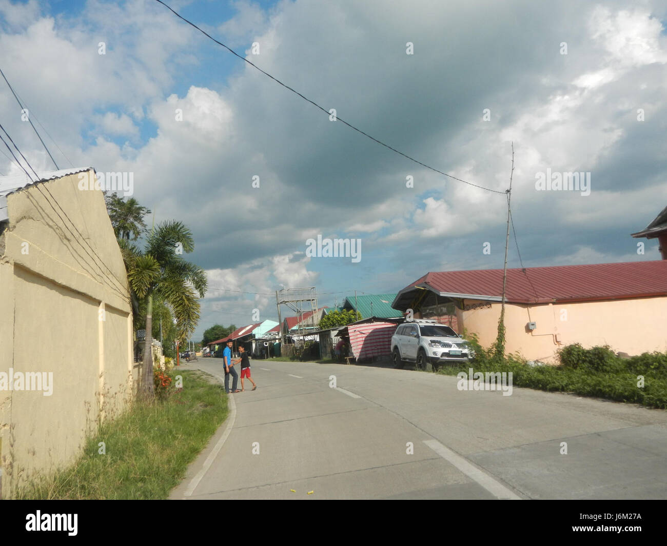 This image depicts the landscape of Candaba, Pampanga, featuring paddy ...